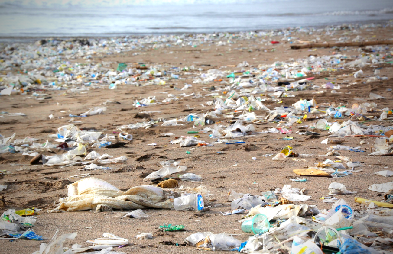 Addio plastica monouso dal 2021 in tutti i Paesi Ue