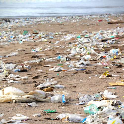 Addio plastica monouso dal 2021 in tutti i Paesi Ue