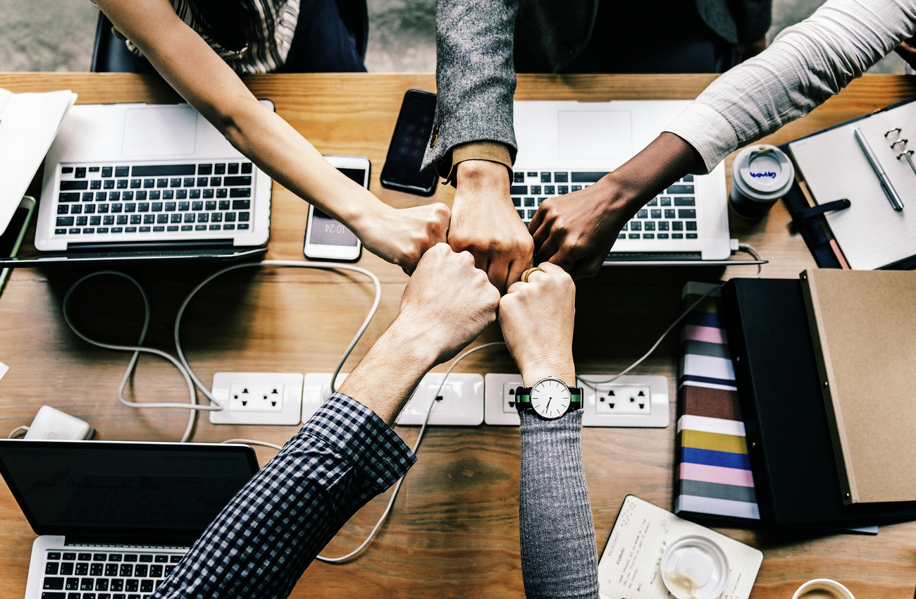 Collaborano con noi